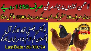 Lohmann Brown business in Pakistan  Poultry Ideas [upl. by Gothart]