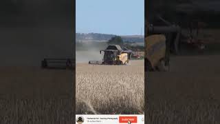 Farming in Essex  Harvesting barley with New Holland CX8090 24 Full video 👆🏿 [upl. by Assilev]