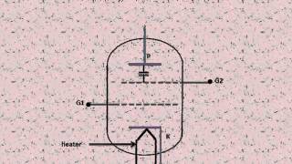 Vacuum Tetrode Explain [upl. by Marcell]