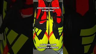 New Adidas Predator Elite 24 quotCitrus Energyquot shorts short shortvideo [upl. by Froehlich]