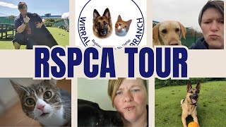 RSPCA Wirral and Chester Branch Tour animal rehoming centre for dogs and cats [upl. by Anneh]