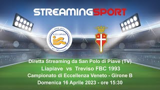 LIAPIAVE vs TREVISO FBC 1993 [upl. by Gabriel740]