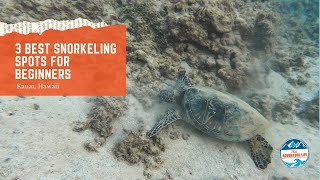 3 Best Snorkeling Spots in Kauai for Beginners  Kauai HI [upl. by Launce]