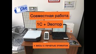 Обмен 1С Эвотор и весов с печатью этикеток Видео обзор [upl. by Ecnerrot]