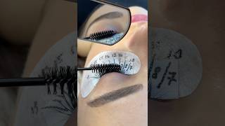 Pose d’extension de cils volume russe asmr volumerusse extensiondecil lashartist cils [upl. by Maynard]