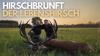 Hirschbrunft in Polen I Goldmedaillen Lebenshirsch I Hunt on Demand Free Episode [upl. by Assilen219]