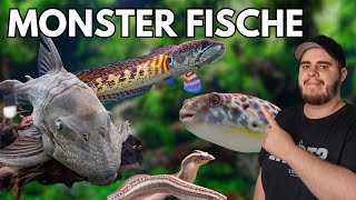 Monster Fische in der ZOOBOX [upl. by Llemert925]