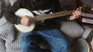 The Temperance Reel  Clawhammer Banjo [upl. by Cherin856]