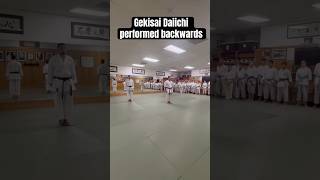 Gekisai Daiichi performed backwards karate martialarts karateclass [upl. by Neidhardt905]