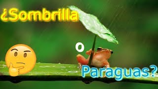 ΒΏSombrilla o Paraguas [upl. by Rama]