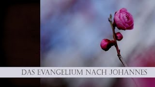 Das Evangelium nach Johannes Kapitel 1Jesus Gott Religion Beten Christen Kirche Glaube [upl. by Alyakim]