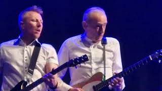 Status Quo  Little Lady Live Eisenstadt 2024 [upl. by Icken]