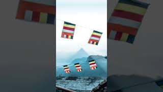 Adams peak Sri Lanka ශ්‍රී පාදය 🙏🙏viralvideo sripadaya tourism [upl. by Inram825]