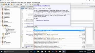 Netbeans MDI for Project Development [upl. by Kerman]