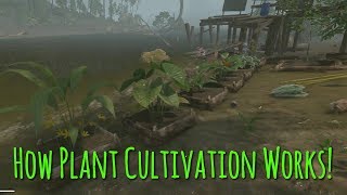 Everything You Need To Know About Plant Cultivation  Green Hell [upl. by Ydde378]