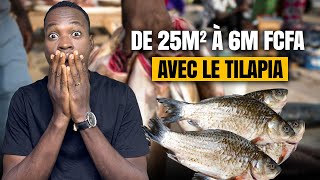 Plus de 2000 poissons adultes avec seulement 25 m² [upl. by Neelyar464]