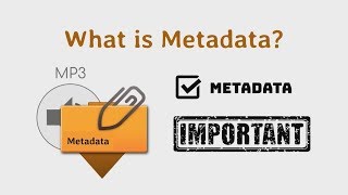 How to Embed Metadata in Music Files [upl. by Leblanc983]