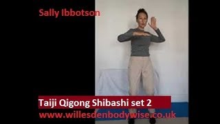 Full Shibashi Set 2 [upl. by Suoicerp]