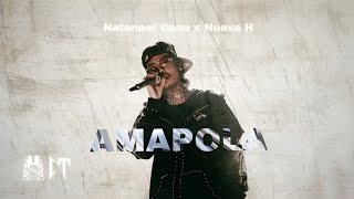 AMAPOLA  Audio Oficial Natanael Cano y Nueva H [upl. by Corty]