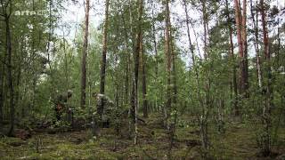 Doku Tschernobyl  Die Natur kehrt zurück HD [upl. by Snilloc]