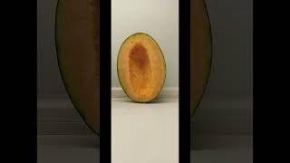 HALF SHAPE CANTALOUPE MELON [upl. by Norga958]