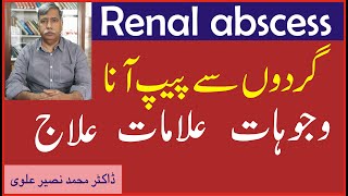 Renal abscessKidney abscessperinephric abscess and Methylenum coeruleum گردوں سے پیپ آنا [upl. by Onilegna925]