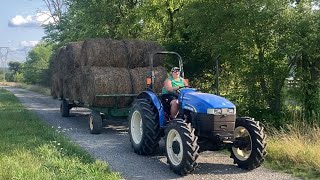 Took The Bulls To The Stockyard Then Got Busy Hauling Hay 72024 [upl. by Charmain]