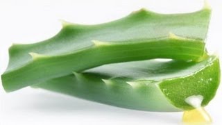 GASTRITIS SOLUCION ALOE VERA SAVILA [upl. by Bendicty503]