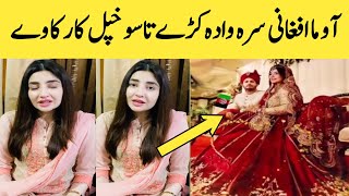 Gul Panra wedding Newe Updates  SJ world [upl. by Bussey]