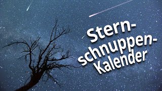 Lyriden Perseiden Geminiden amp Co Das sind die besten Nächte für Sternschnuppen [upl. by Aramat527]