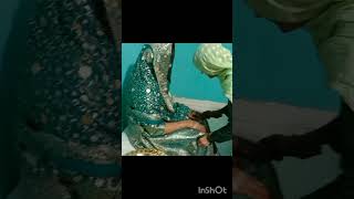 Appi ki shadi 🥺🥺🥺 shortvideos [upl. by Bat]