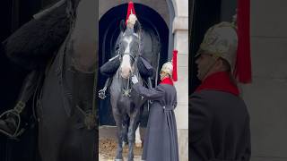 King’s Guard Horses sometimes need a hug royalhorseguard horse shorts viralvideo history [upl. by Saber]