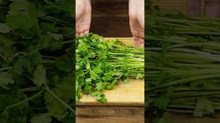 Como conservar el cilantro por mucho más tiempo fresco recetas [upl. by Lleruj]