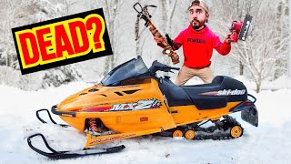 Is My Ski Doo MXZ Snowmobile DEAD I NEED THIS FIXED [upl. by Nahs470]