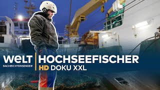 Deutsche Hochseefischer  Harte Arbeit auf rauer See  WELT HD Doku XXL [upl. by Ardnaiek81]