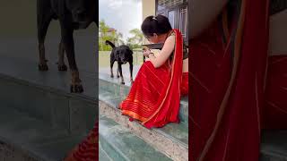 🐕‍🦺 🐕‍🦺 newsong bollywood song music love savita shortvideo [upl. by Raila]