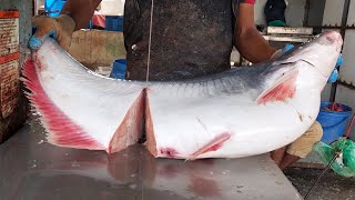 Padma River Pangasius Fish Cutting In Fish Market  Monster Pangas Fish  Fish Cutting Skills [upl. by Froemming]