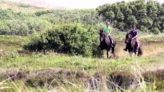 Puur Terschelling [upl. by Kermy]