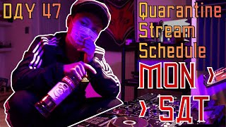 DJ SLAVINE  QuaRavine Isolation Stream DAY 47 RUSSIAN HARDBASS [upl. by Acinnad]