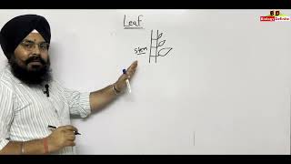 Morphology of Flowering Plants Lecture 03 [upl. by Noman684]