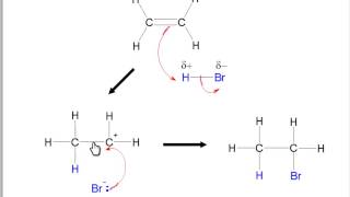 Electrophilic addition mechanism [upl. by Teirtza327]