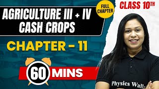 AGRICULTURE III  IV  CASH CROPS in 60 Mins  Complete Chapter Mind Map  Class 10 ICSE GEOGRAPHY [upl. by Chip97]