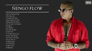 Ñengo Flow  Mix Sus Mejores Exitos [upl. by Arhaz524]