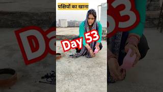 Day53365 waking up at Brahma Muhurta minivlog​ shortvideo​ hindu​ morning sanatan motivation [upl. by Shaina187]