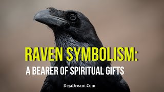 Raven Symbolism A Bearer Of Spiritual Gifts [upl. by Ardnuahs925]