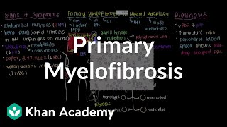 What is primary myelofibrosis  Hematologic System Diseases  NCLEXRN  Khan Academy [upl. by Annayak]