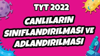 Canlıların Sınıflandırılması ve Adlandırılması  TYT Biyoloji 2022 hedefekoş [upl. by Aryamo523]