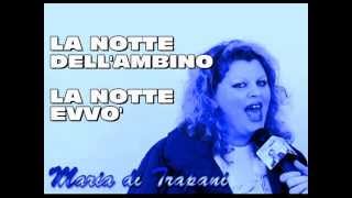 Maria di Trapani canta quotLa notte volaquot  La nuova versione 2014 [upl. by Fesoy]