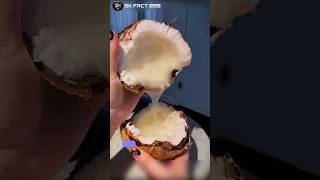 Macapuno coconut sciencesciencefacts [upl. by Heida29]