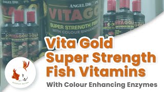 Vita Gold  Super Strength Fish Vitamins with Color Enhancing Enzymes [upl. by Anitnerolf]